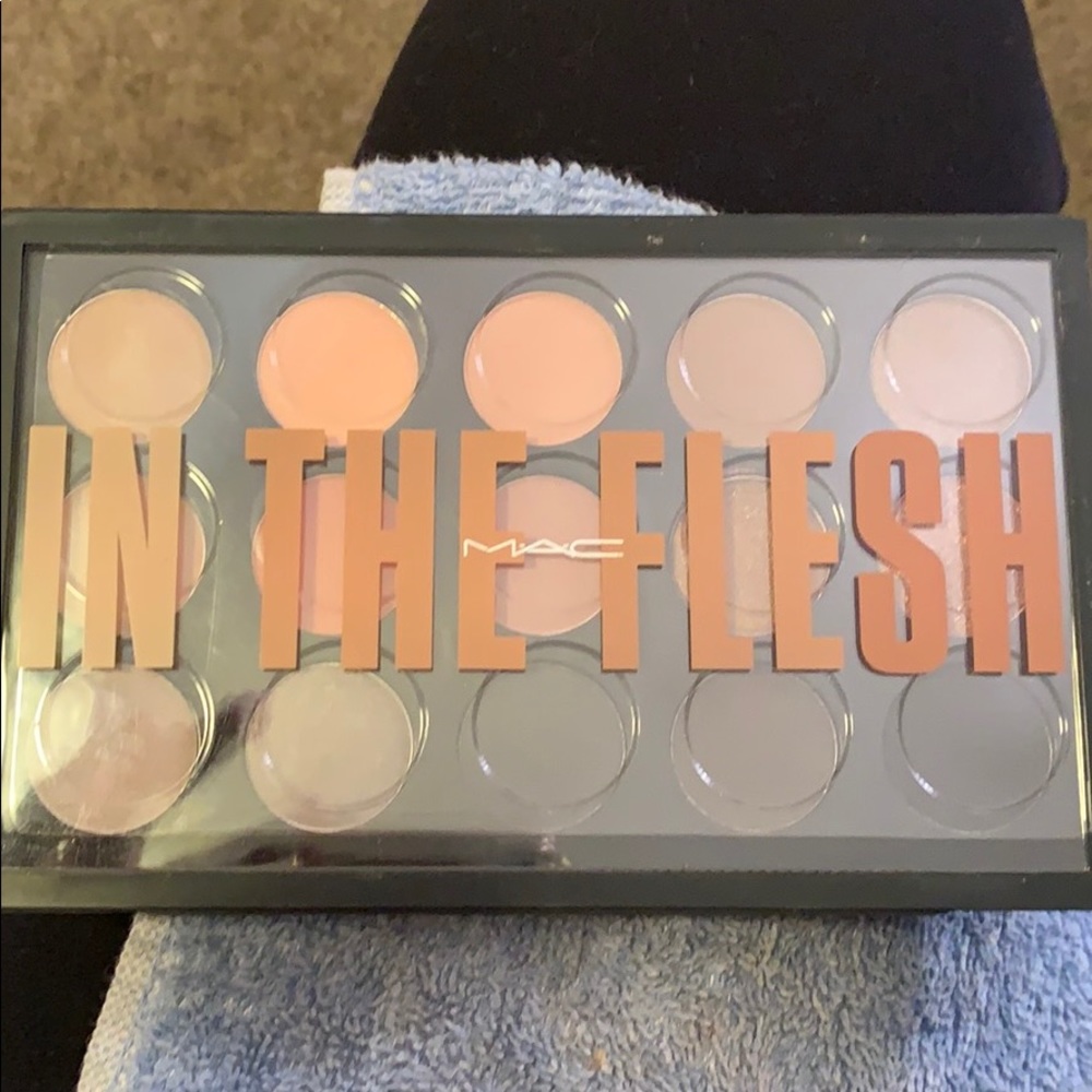 Mac cosmetics in the flesh palette